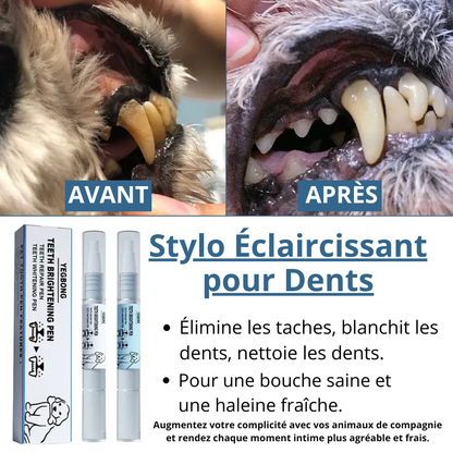 Dentifresh™- Stylo Brossage Canin