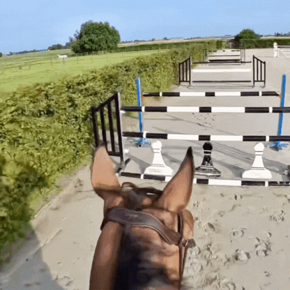 VisoPov™ - caméra de sport et d'activité