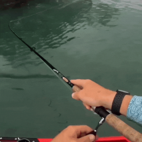 VisoPov™ - caméra de sport et d'activité