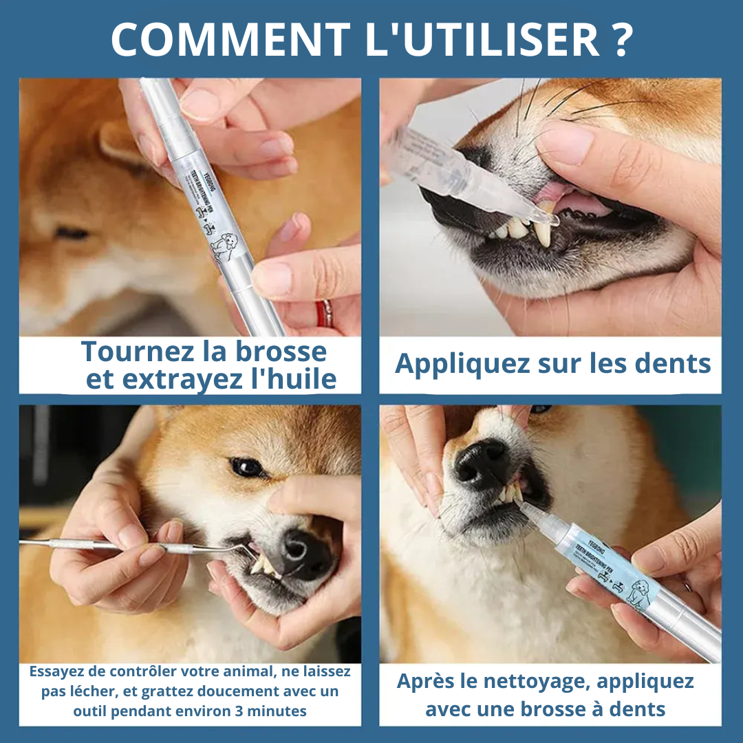 Dentifresh™- Stylo Brossage Canin