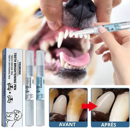 Dentifresh™- Stylo Brossage Canin